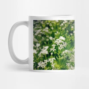 Tender woodruff flower Mug